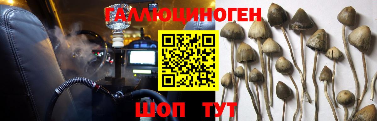 Тейково  Галлюциногенные грибы GOLDEN TEACHER  Вход с VPN  Галлюциногенные грибы Psilocybe 